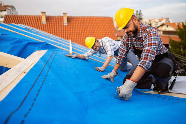 Best Rubber Roofing (EPDM, TPO)  in Edina, MN